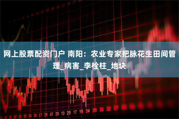 网上股票配资门户 南阳：农业专家把脉花生田间管理_病害_李栓柱_地块